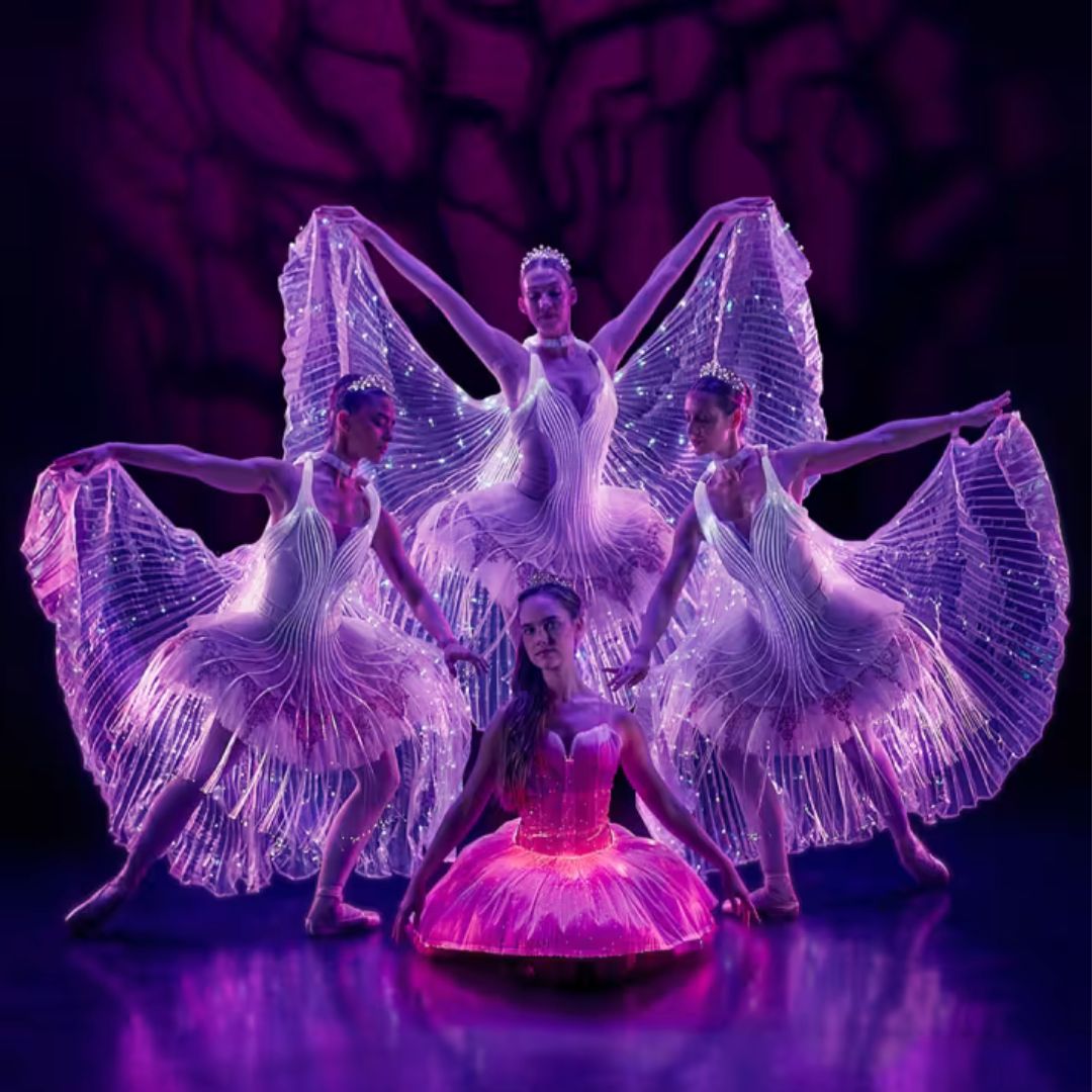 Ballet of Lights: Sleeping Beauty Image